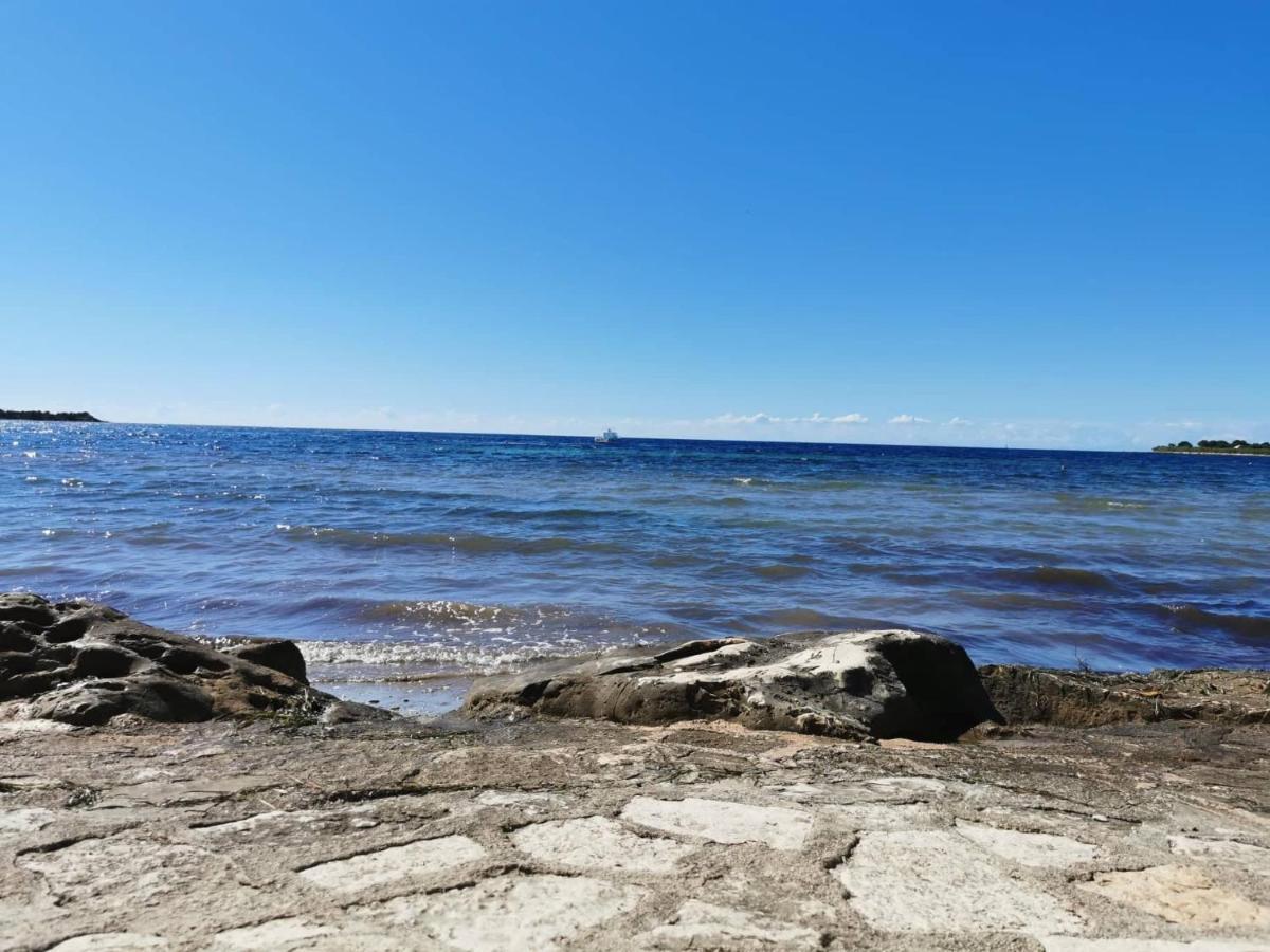App Katerina Lägenhet Novigrad Istria Exteriör bild