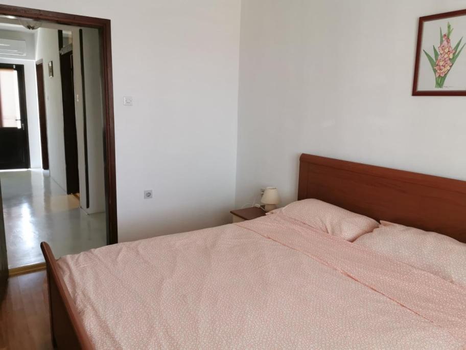 App Katerina Lägenhet Novigrad Istria Exteriör bild