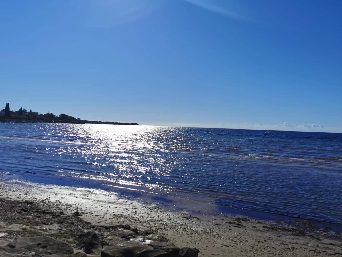 App Katerina Lägenhet Novigrad Istria Exteriör bild