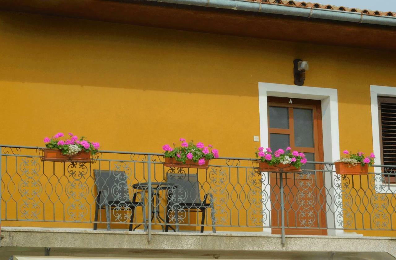App Katerina Lägenhet Novigrad Istria Exteriör bild